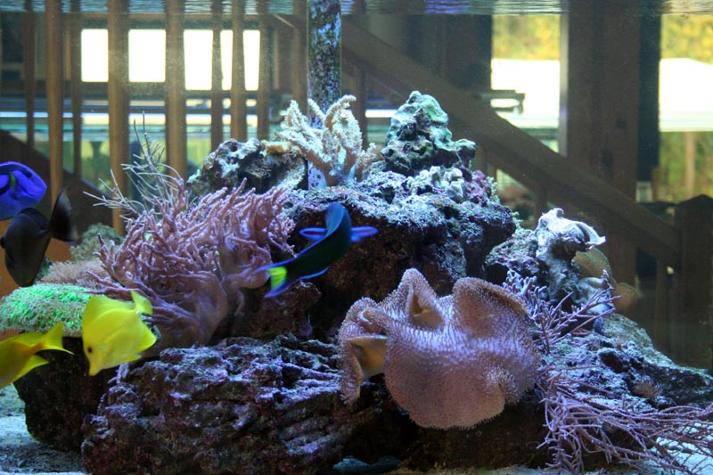 Killikus® Fotographie Killikus® Fotographie